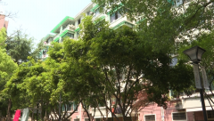 <b>没想到过完年没多久就有了</b>